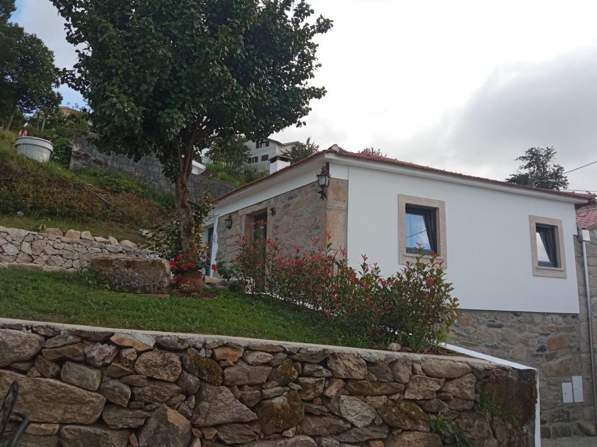 Ferienhaus Casa Tia Vina - Serra Arouca