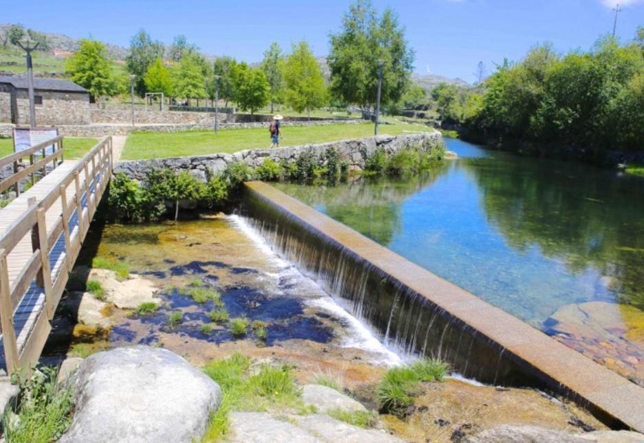 Holiday home Casa Tia Vina - Serra Arouca